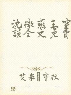 沈微燕王穿越小说全文免费阅读