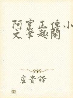 阿宾正传小说全文笔趣阁封面