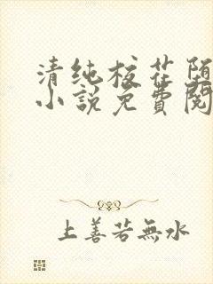 清纯校花堕落记小说免费阅读