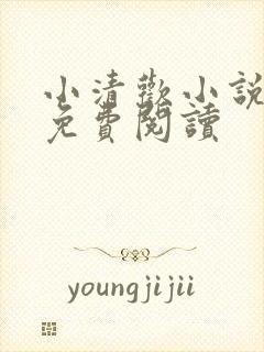 小清欢小说全文免费阅读