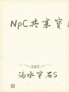 NpC共享宝贝