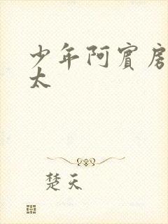 少年阿宾房东太太