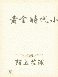 黄金时代小说
