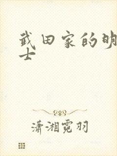 武田家的明国武士封面