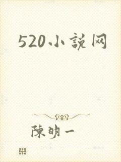 520小说网