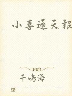 小喜通天报
