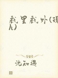 戏里戏外(现场h)