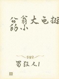公翁大龟挺进我的小