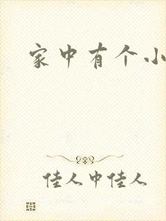 家中有个小姨子封面