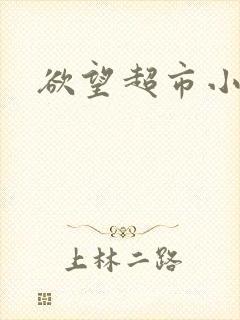 欲望超市小说封面