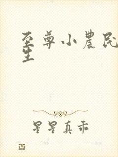 至尊小农民王木生封面