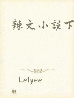 辣文小说下载封面