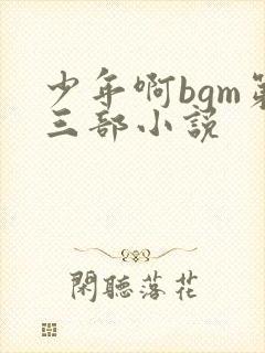 少年啊bgm第三部小说封面