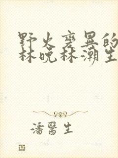 野火变异的父爱林晚林潮生