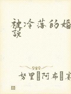 被冷落的婚姻小说