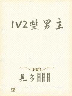 1V2双男主