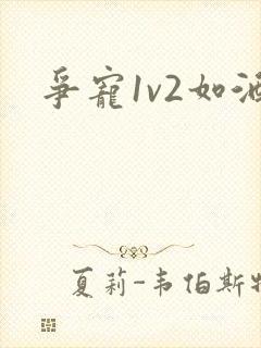 争宠1v2如酒封面