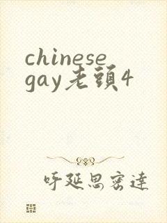 chinesegay老头4封面