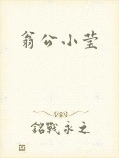 翁公小莹