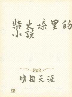 柴火垛里的疯狂小说