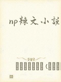 np辣文小说
