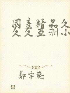 国产精品久久久久久亚洲小说