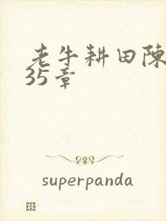 老牛耕田陈雪435章