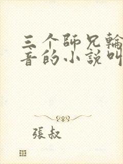 三个师兄轮流上音的小说叫什么封面