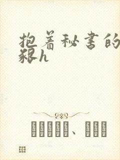 抱着秘书的大乳啃h封面