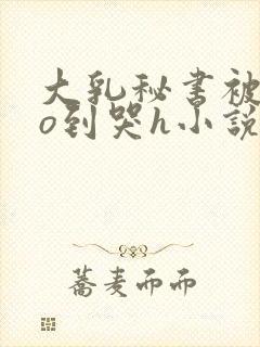 大乳秘书被cao到哭h小说封面