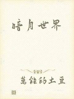 暗月世界