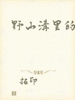 野山沟里的村庄