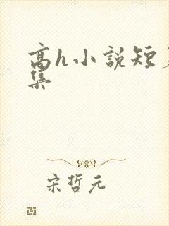 高h小说短篇合集封面