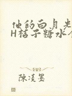 他的白月光HVH桔子糖水全文