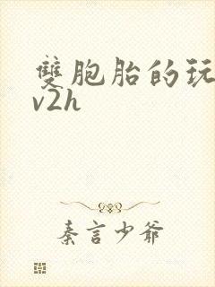 双胞胎的玩具1v2h