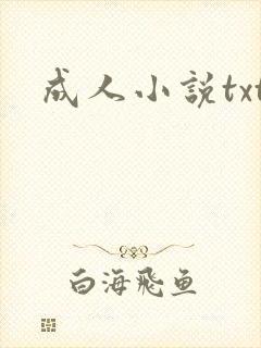 成人小说txt封面