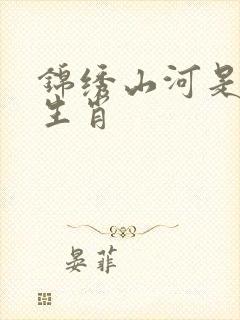 锦绣山河是什么生肖封面