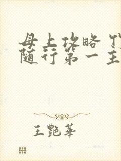 母上攻略 竹影随行第一主板