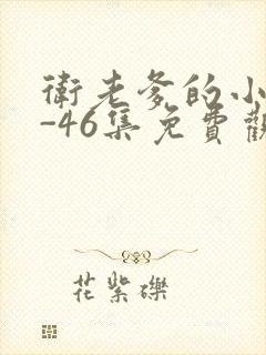 卫老爹的小船1-46集免费观看