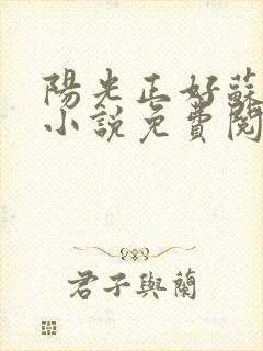 阳光正好苏玥玥小说免费阅读