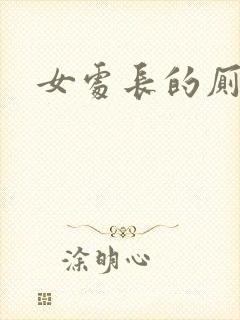 女处长的厕奴封面