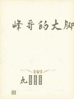 峰哥的大脚