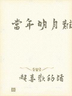 当年明月难寻封面