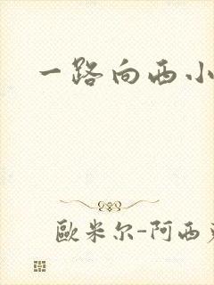 一路向西小说
