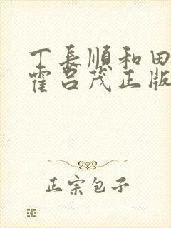 丁长顺和田晓兰霍吕茂正版