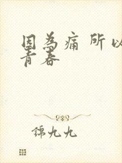 因为痛 所以叫青春