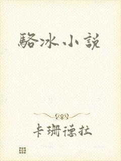 骆冰小说