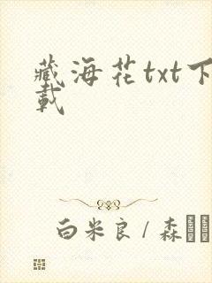 藏海花txt下载封面