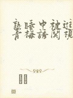 熟睡中被进了H青梅诱哄视频