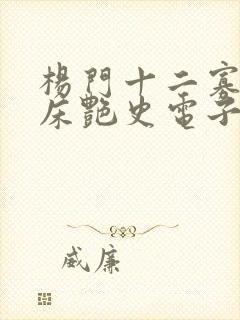 杨门十二寡妇肉床艳史电子书封面